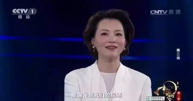 董卿最新事件，荧屏新动向与个人成长历程揭秘