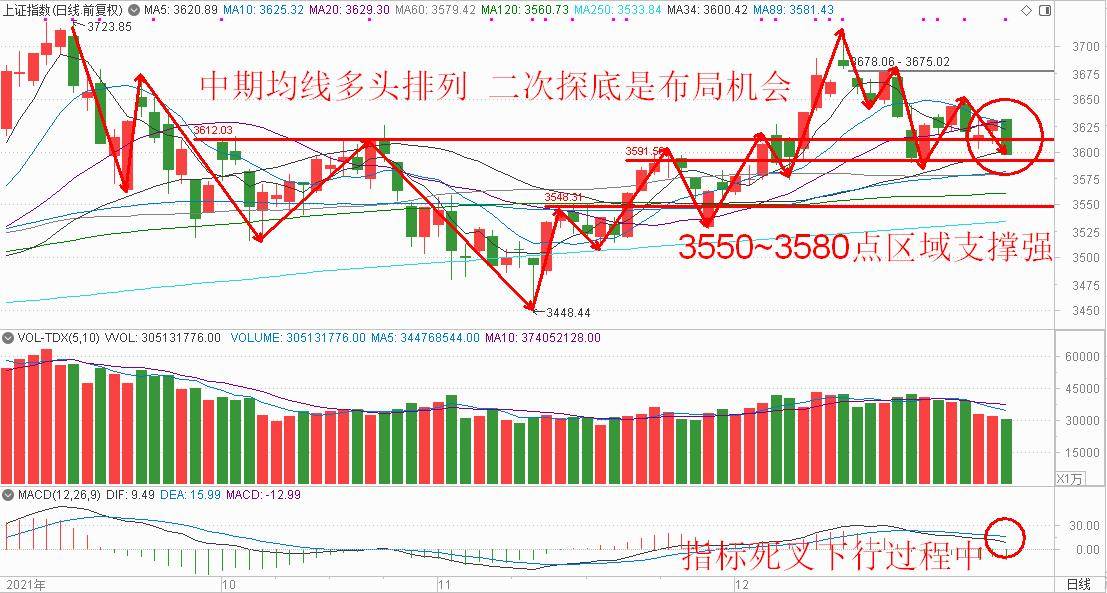 77777788888王中王中特亮点,市场趋势分析_T3.174