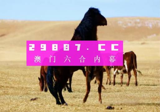 7777788888精准跑狗图,实地验证实施数据_组合款35.726