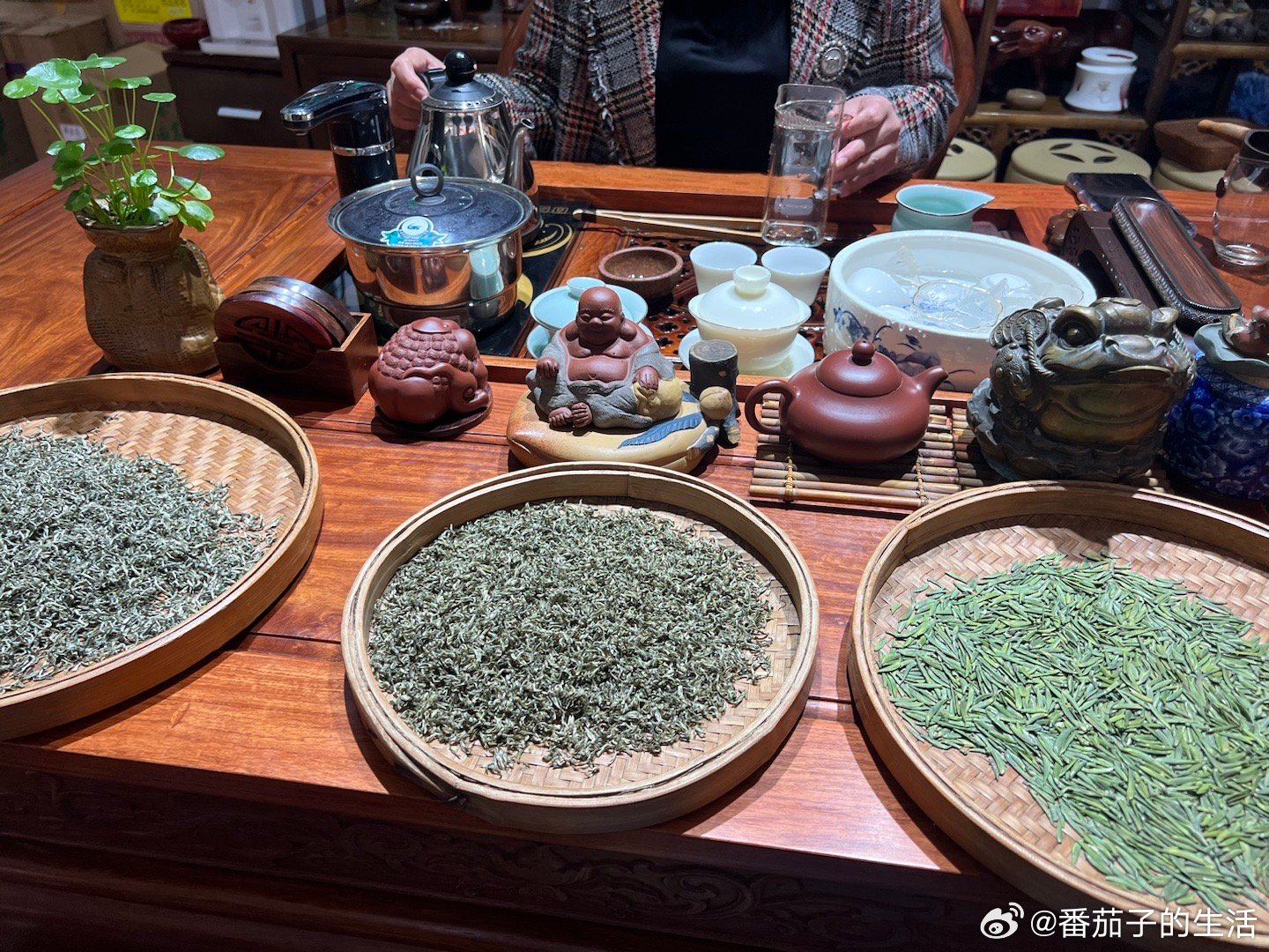 最新出炉的茶，探寻独特魅力与风味之旅