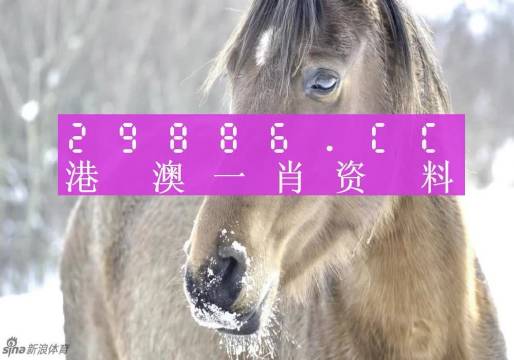 闻点 第238页