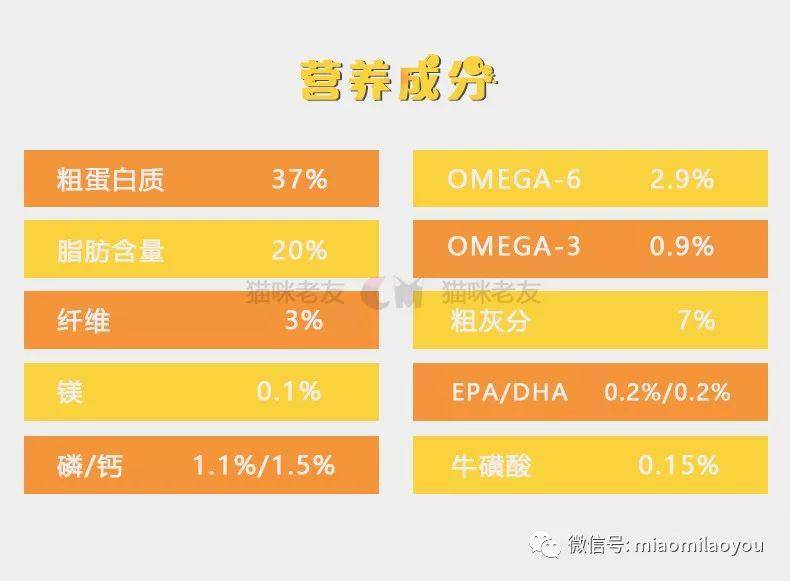 2024澳门特马今晚开奖一,决策辅助工具开发_顶尖款86.556