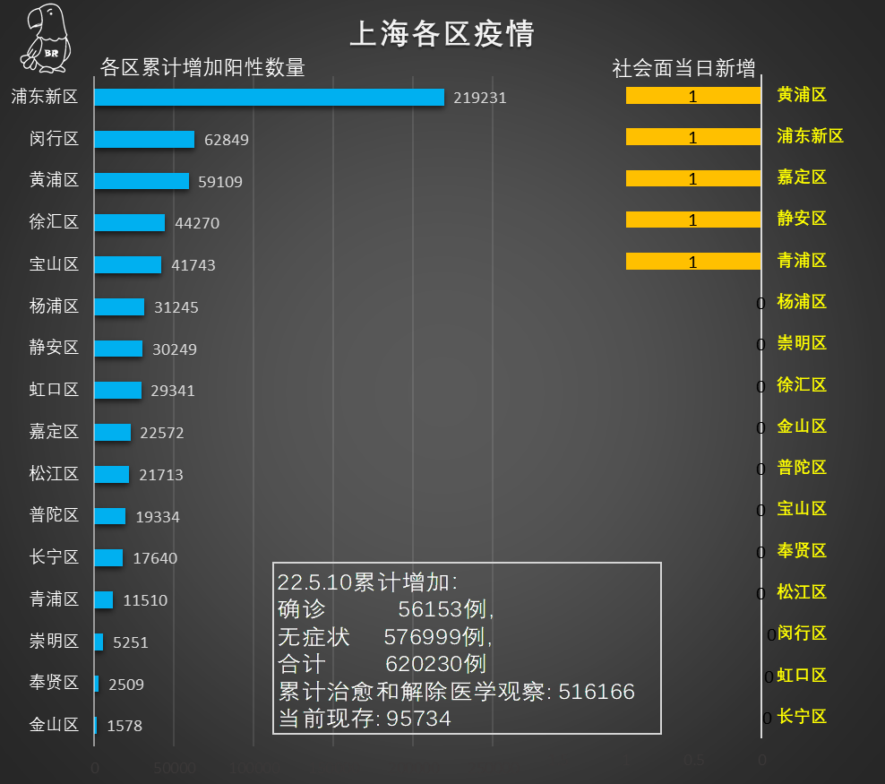 上海最新疫情消息深度解析与探讨