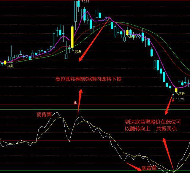 2024今晚香港开特马,最新热门解答落实_GT51.309