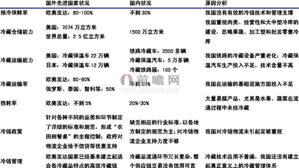 新澳精准资料2024第5期,标准化实施评估_优选版20.203