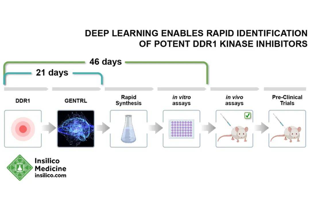 新奥资料免费精准新奥生肖卡,国产化作答解释落实_NE版23.649